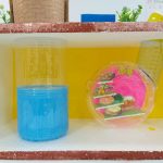 WhatsApp Image 2018-11-01 at 08.39.59(1)