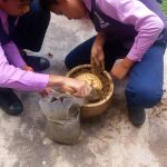 WhatsApp Image 2018-11-01 at 09.38.31