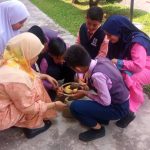 WhatsApp Image 2018-11-01 at 09.38.36