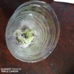 WhatsApp Image 2020-02-17 at 2.09.22 PM