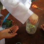 WhatsApp Image 2020-02-17 at 2.09.23 PM